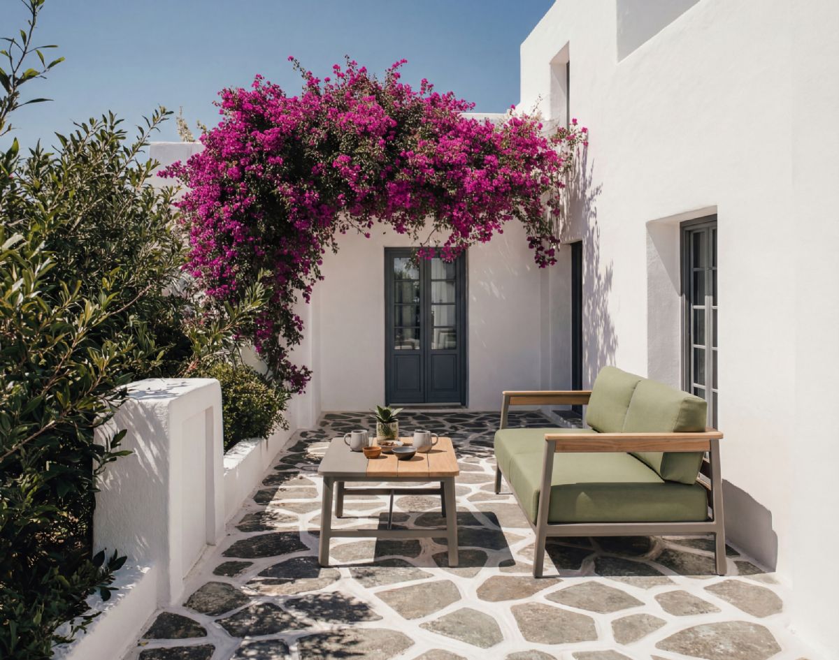 imagen SAONA escena _01 1 _low.jpg